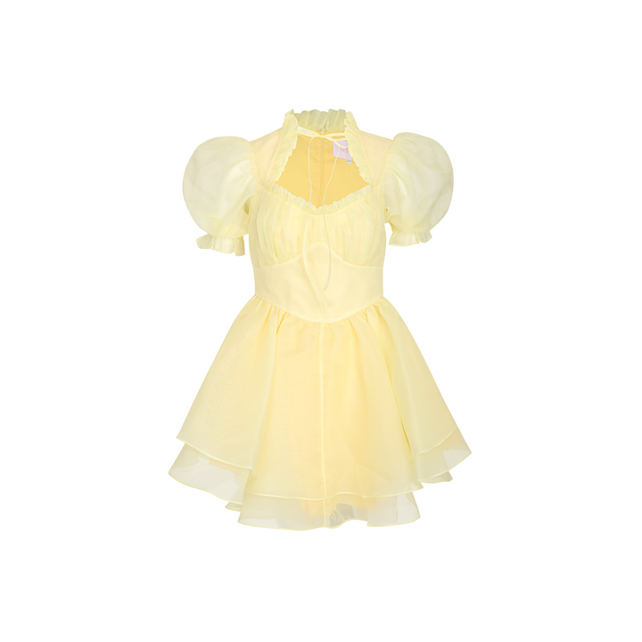 The Twinkie Portrait of a Lady Dress