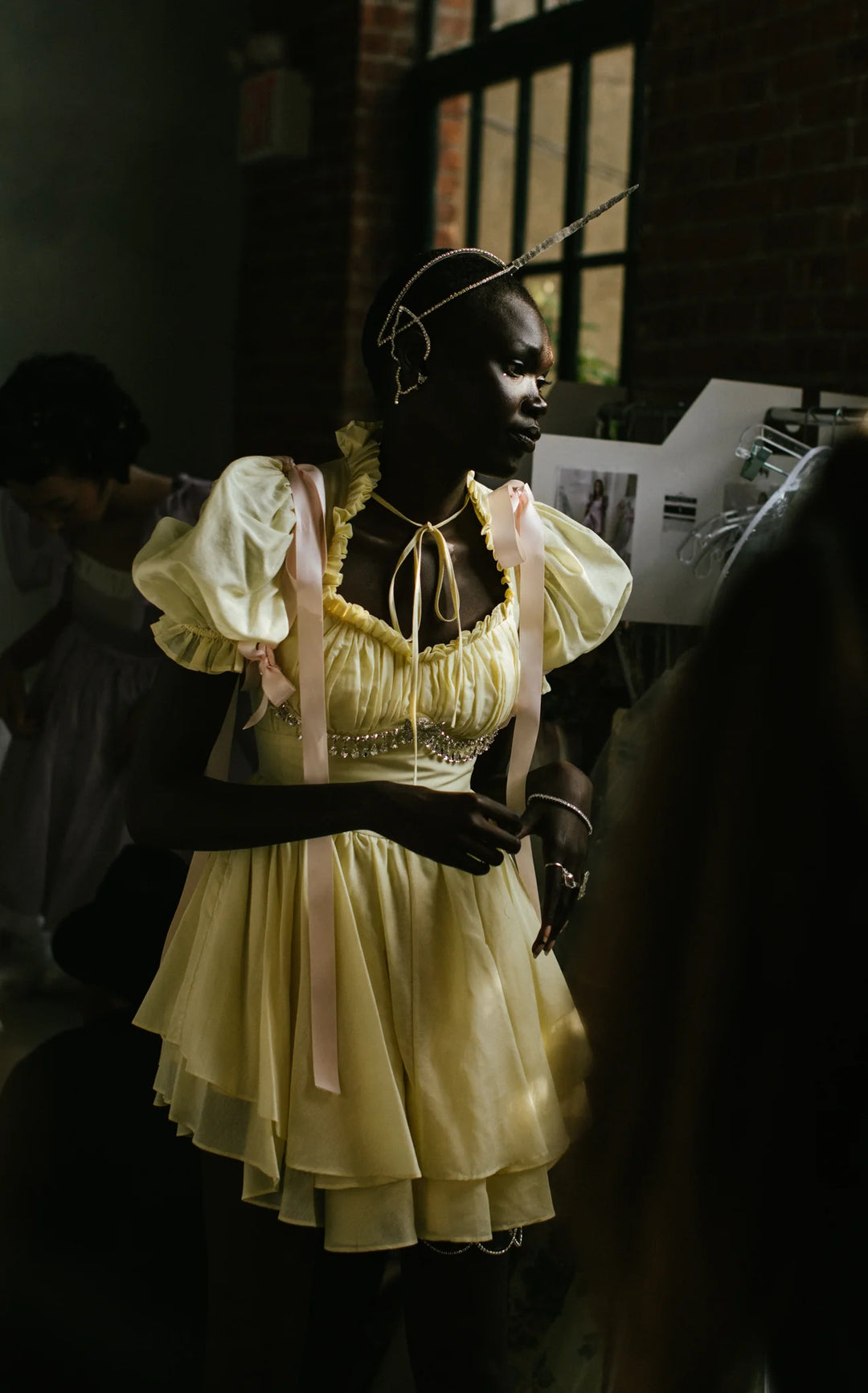The Twinkie Portrait of a Lady Dress