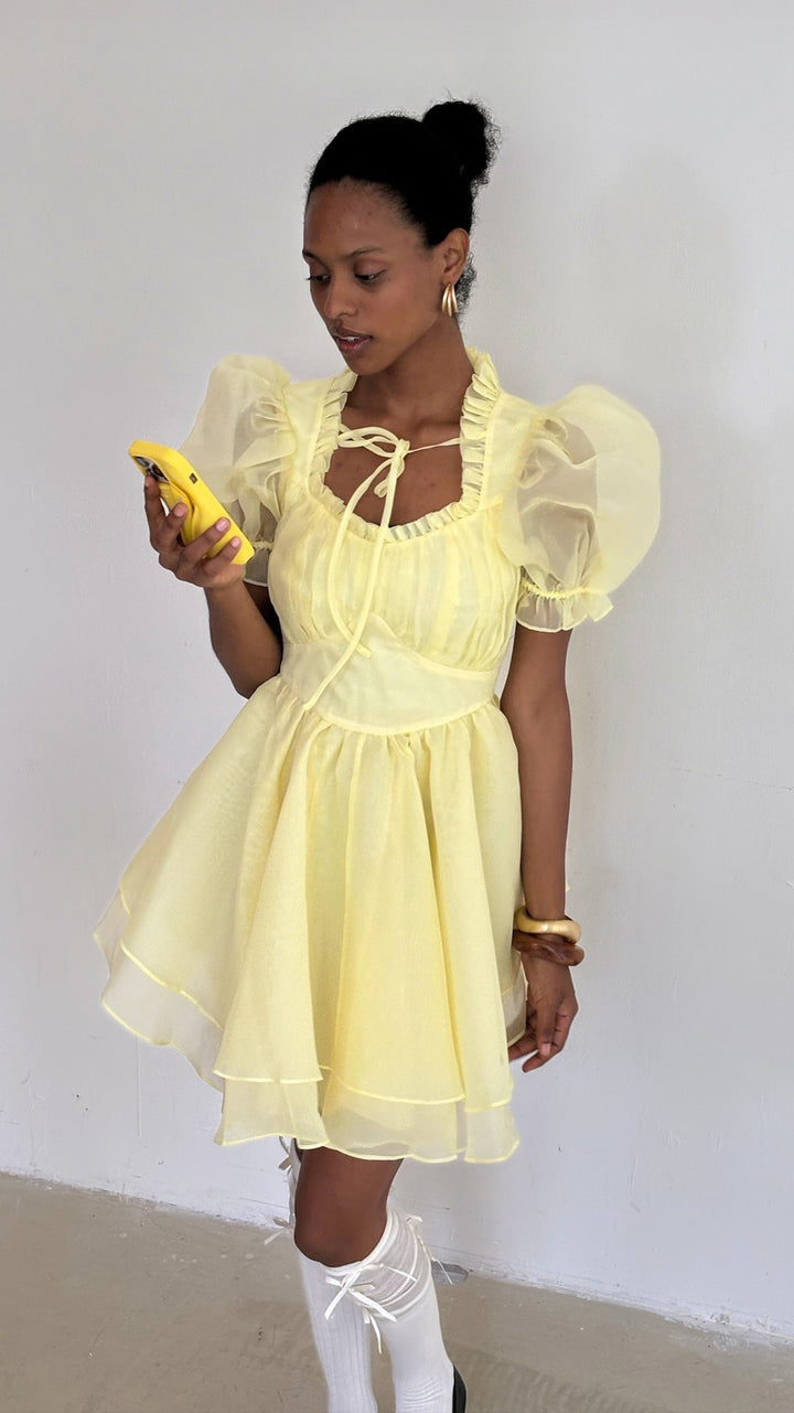 The Twinkie Portrait of a Lady Dress