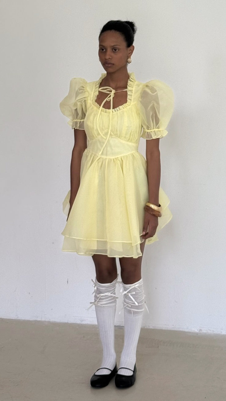 The Twinkie Portrait of a Lady Dress