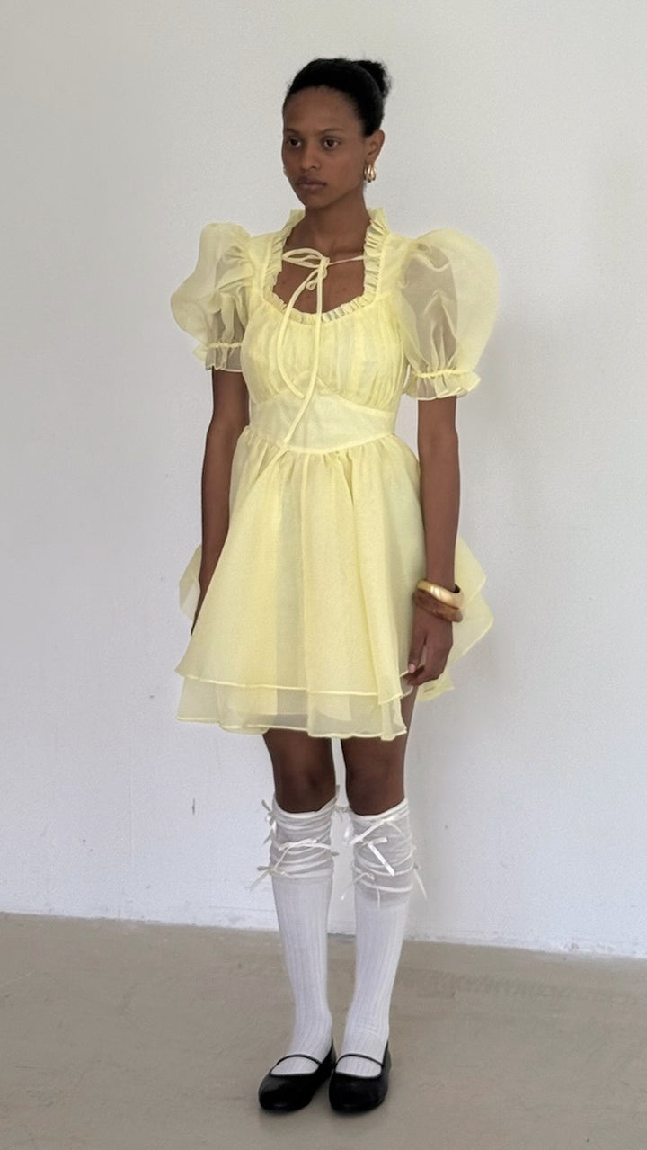 The Twinkie Portrait of a Lady Dress