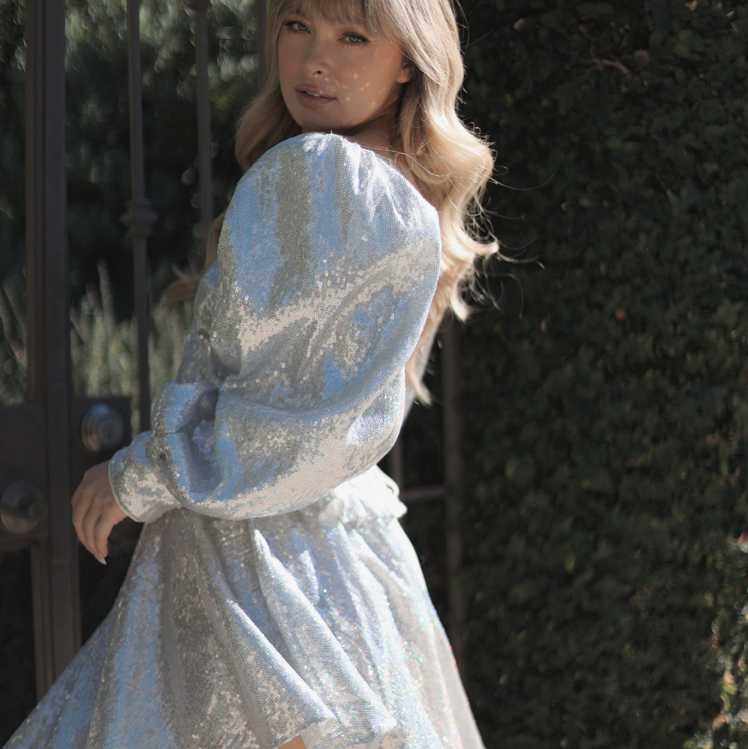 The Ballet Skirt in Silver