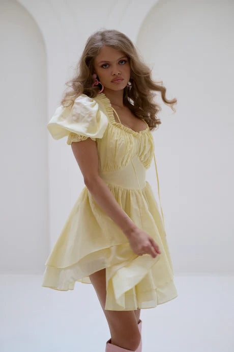 The Twinkie Portrait of a Lady Dress