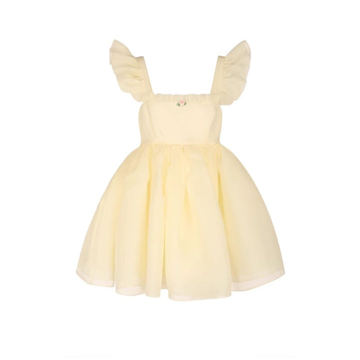 The Little Princess Dress