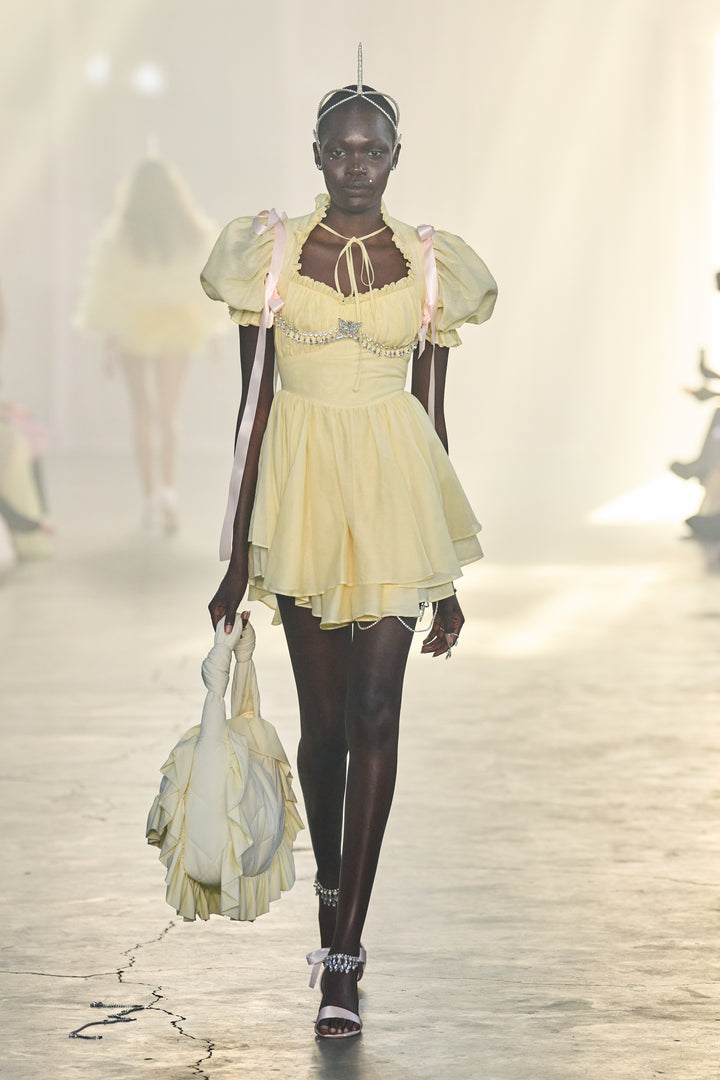 The Twinkie Portrait of a Lady Dress