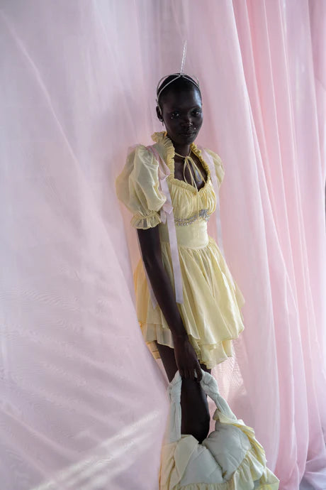 The Twinkie Portrait of a Lady Dress