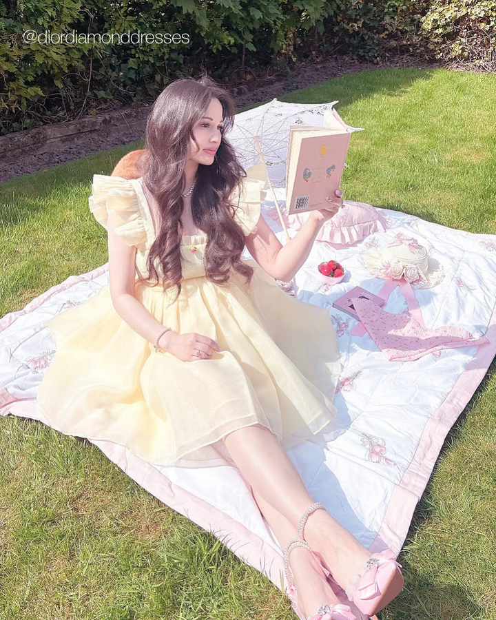 The Little Princess Dress
